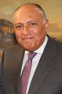 Sameh_Shoukry_2014