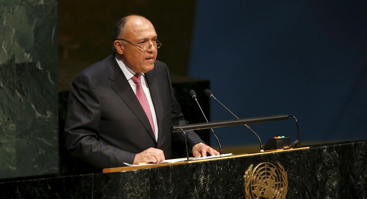 Egypt's Foreign Minister Sameh Shoukry addresses the United Nations about the nuclear nonproliferation treaty at U.N. headquarters in New York.